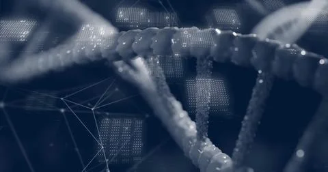 Image of scientific data processing over dna strand spinning Stock Illustration