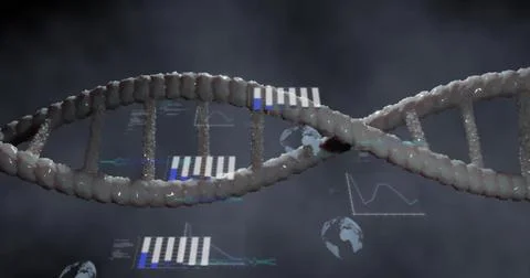 Image of scientific data processing over dna strand spinning Stock Illustration