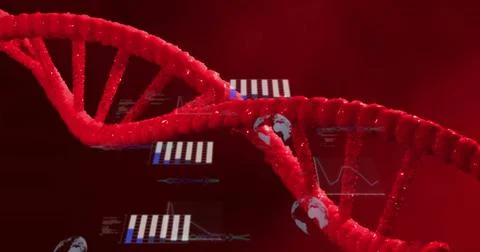 Image of scientific data processing over dna strand spinning Stock Illustration