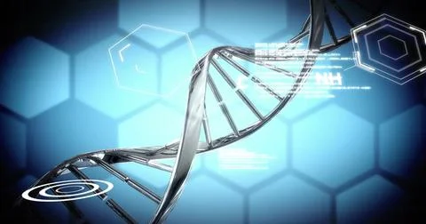 Image of scientific data processing over dna strand Stock Illustration