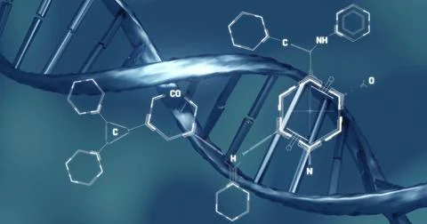 Image of scientific data processing over dna strand spinning 库存插图