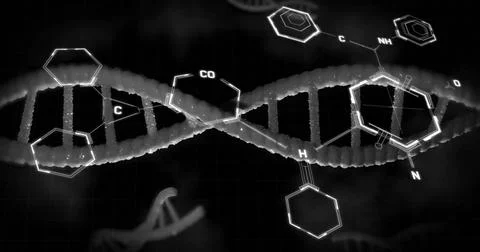 Image of scientific data processing over dna strand spinning Stock Illustration
