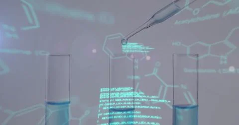 Image of scientific data processing over laboratory dishes on grey background Stock Photos