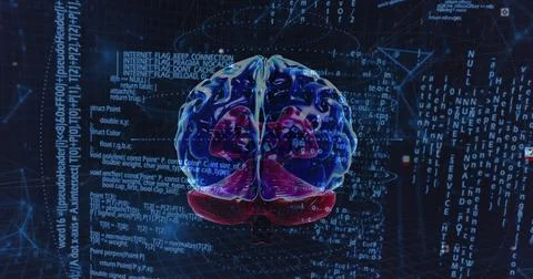 Image of scientific data processing over human brain on dark background Foto stock