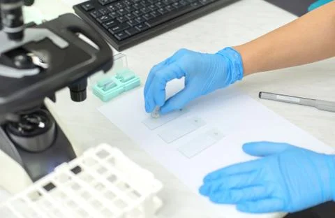 Image of scientist using microscope in laboratory Stock Photos