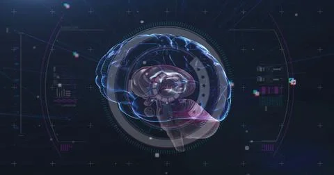 Image of scope scanning with human brain spinning on black background Stock Illustration