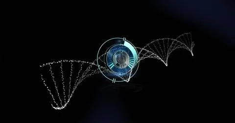 Image of scope scanning over dna strand on black background Stock Photos