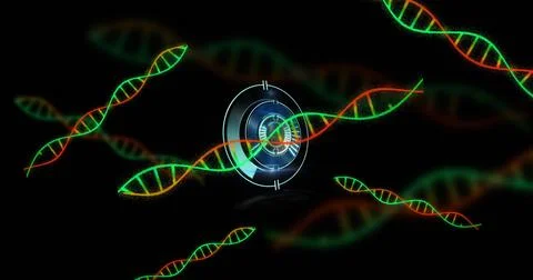 Image of scope scanning over dna strands on black background Stock Photos