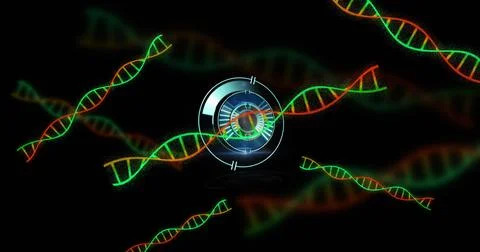 Image of scope scanning over dna strands on black background Stock Photos