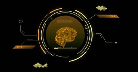 Image of scopes and scientific data processing with human brain over black Foto stock