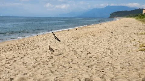 Image of sea waves on the north coast of brazil in ubatuba ubatumirim beach Stock-Fotos