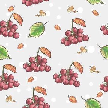Image of seamless pattern with berries and autumn leaves of viburnum Illustrazione stock
