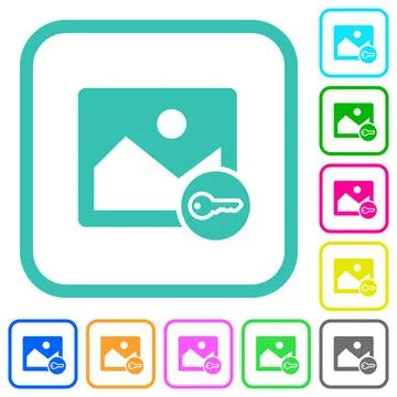Image secure alternate vivid colored flat icons 스톡 일러스트