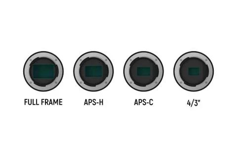 Image sensor set. イラスト素材