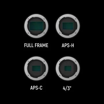 Image sensor set. イラスト素材