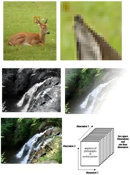 Image Sequence and Processing Techniques Demonstrated in Pixelation, Graysc.. Stock Photos