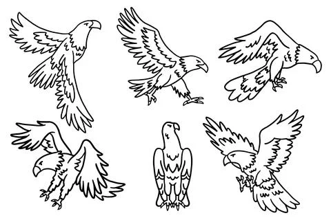 The image is a set of six drawings of birds in flight Stock Illustration