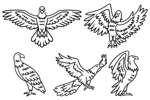 The image is a set of six drawings of birds in flight Stock Illustration