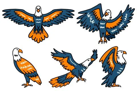 The image is a set of six drawings of birds in flight Stock Illustration