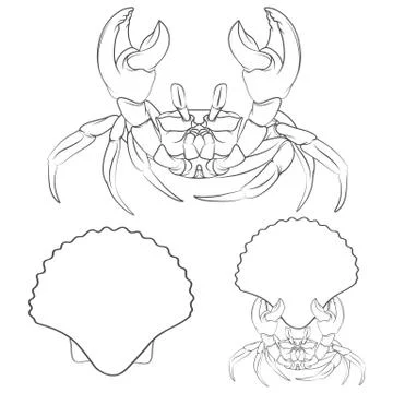 Image with shell crab claws in. Vector illustration. Isolated objects. イラスト素材