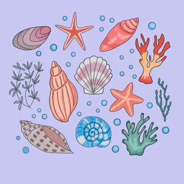 Image of shells, starfish, corals on a lilac background Stock Illustration