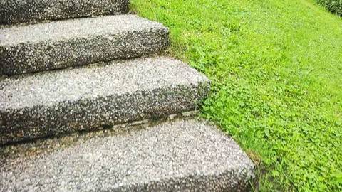The image showcases concrete steps leading through a vibrant green landscape 動画素材 315213372