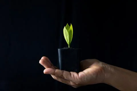 Image showcases the importance of recycling, using recycled materials, and .. Stock Photos