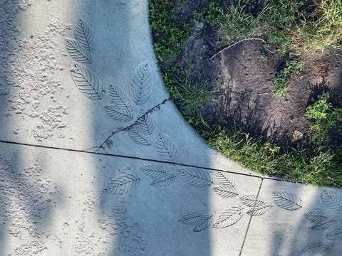 Image shows a close-up of linear footprints on a cracked concrete surface, .. Stock Photos