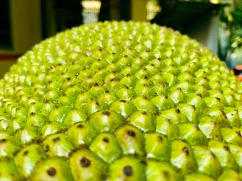 The image shows a close-up of a stack of green and yellow bananas, exhibiti.. Stock Photos