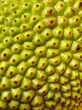 The image shows a close-up of a stack of green and yellow bananas, exhibiti.. Stock Photos