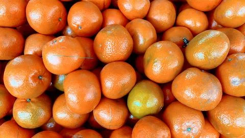 The image shows a close-up view of a pile of fresh, bright orange tangerine.. Stock Photos