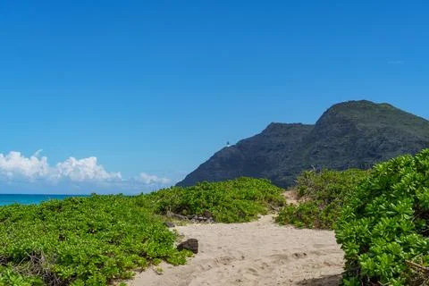 The image shows a pathway towards a beach with a mountain in the backdrop Stock Photos