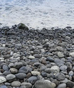 The image shows a serene beach scene with a large collection of smooth gray a Stock-Fotos