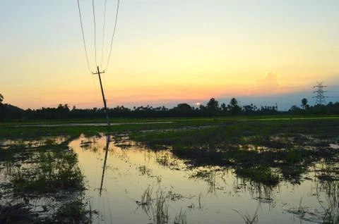 Image shows sunset in a field with a slanting powerline. Large powerline towe Stock Photos