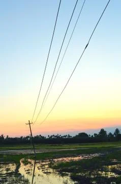 Image shows sunset in a field with a slanting powerline. Large powerline towe Stock Photos
