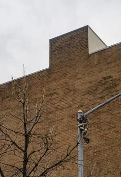 The image shows a tree without leaves standing in front of a large brick buil Stock Photos