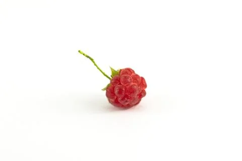 Image of a single raspberry on a white background. Stock Photos