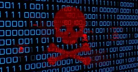 Image of skull and bones, binary coding and data processing 스톡 일러스트