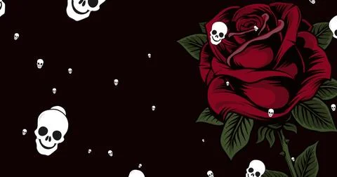 Image of skull icons falling and rose on black background Illustrazione stock