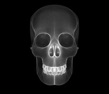 The image is a skull made in the form of a grid frame on a black background. Stock Illustration