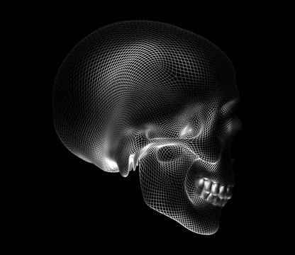 The image is a skull made in the form of a grid frame on a black background. Stock Illustration