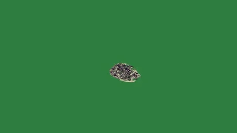 Image of skull splash water black pattern broken glass Video stock 335978305