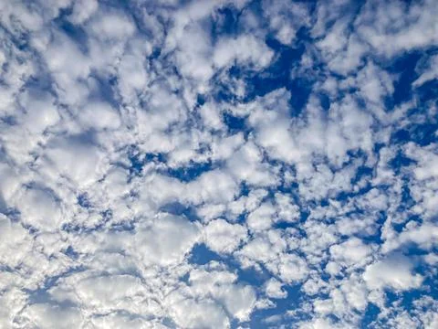 Image of a sky filled with fluffy, dense cumulus clouds, varying in size and  Stock Photos
