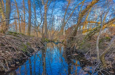 Image of a small river course in a forest with reflections Stock Photos