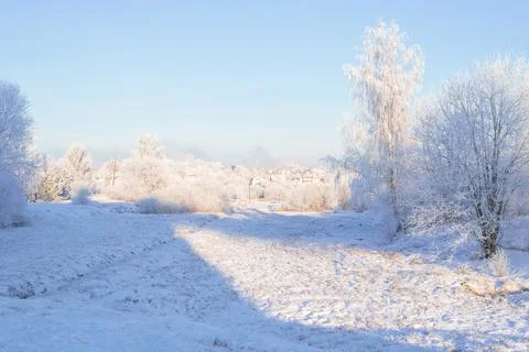 Image of snow-covered trees. New Year and Christmas concept. High resolutio.. Foto stock
