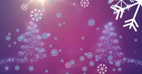 Image of snow falling christmas tree pattern on purple background Stock Illustration