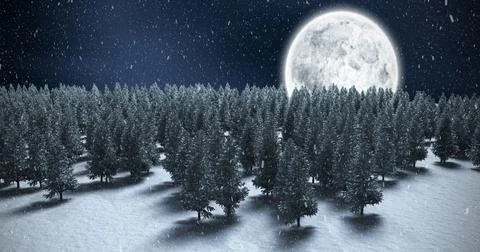 Image of snow falling over winter night landscape with fir trees Ilustração Stock