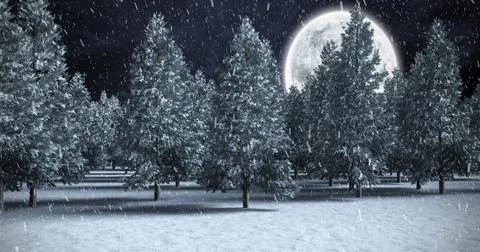 Image of snow falling over winter night landscape with fir trees Illustrazione stock