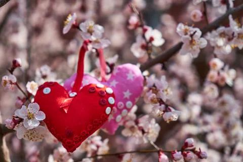 An image of a soft toy in the shape of a heart. Needlework. Stock Photos