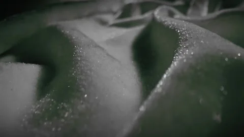 Image of Soft Woolen Fabric with Shadows Stock Footage 309644246